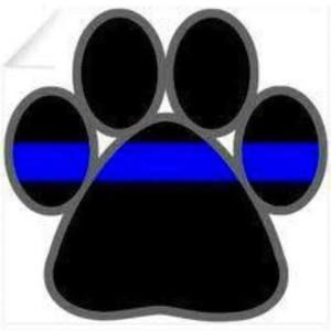 Meet your Posher, Thaedra